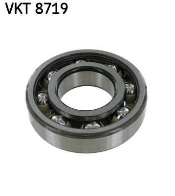guolis, neautomatinė transmisija - VKT 8719 SKF
